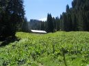 Chalet des crottes